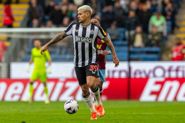 这些国家的 这些国家的